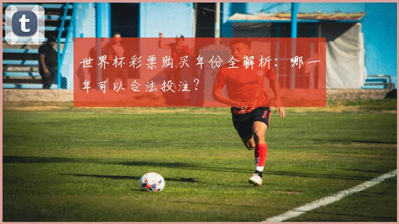 世界杯彩票购买年份全解析：哪一年可以合法投注？